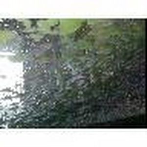 Meet your Posher, Eee